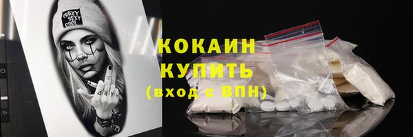 ПСИЛОЦИБИНОВЫЕ ГРИБЫ Богданович