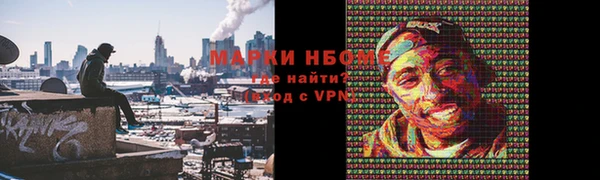 ПСИЛОЦИБИНОВЫЕ ГРИБЫ Богданович