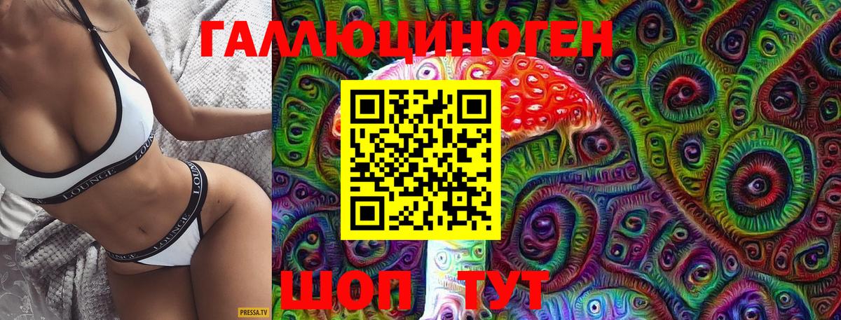 Невинномысск  Галлюциногенные грибы Psilocybine cubensis  Вход с VPN 
